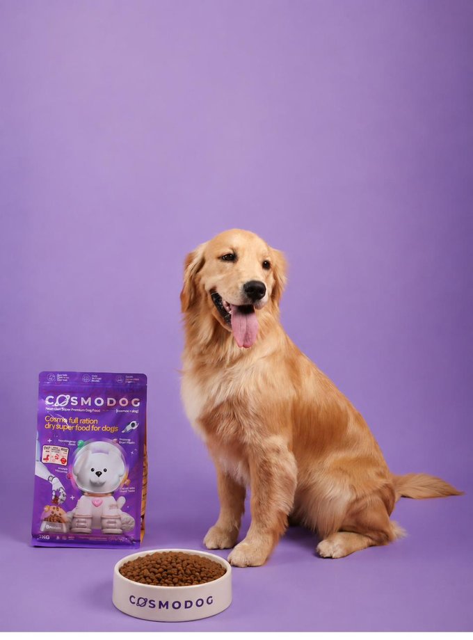 Cosmodog studio shoot