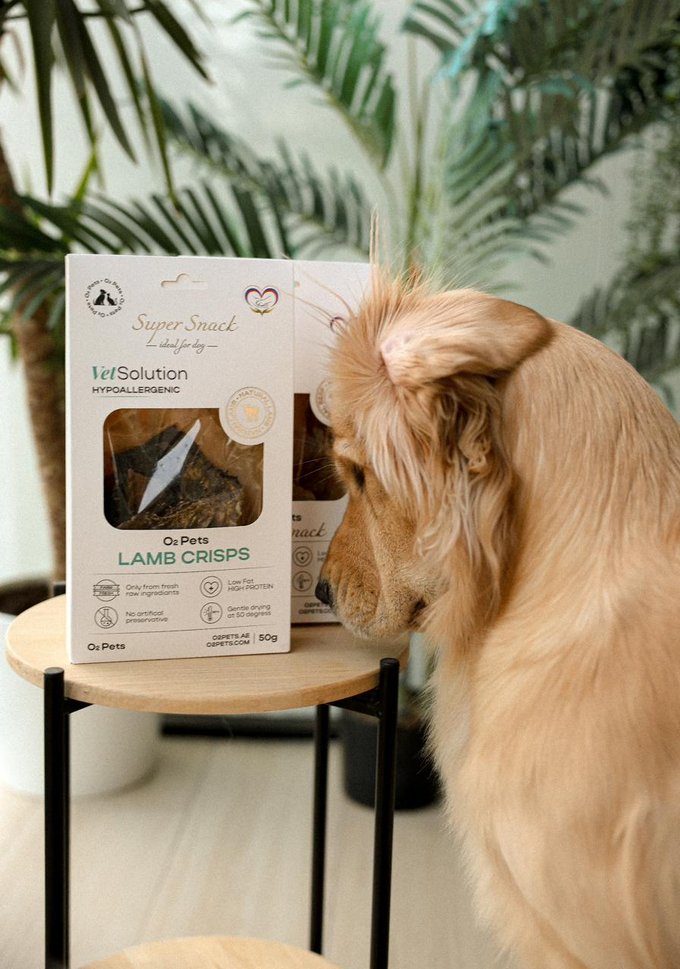 O2Pets brand shoot
